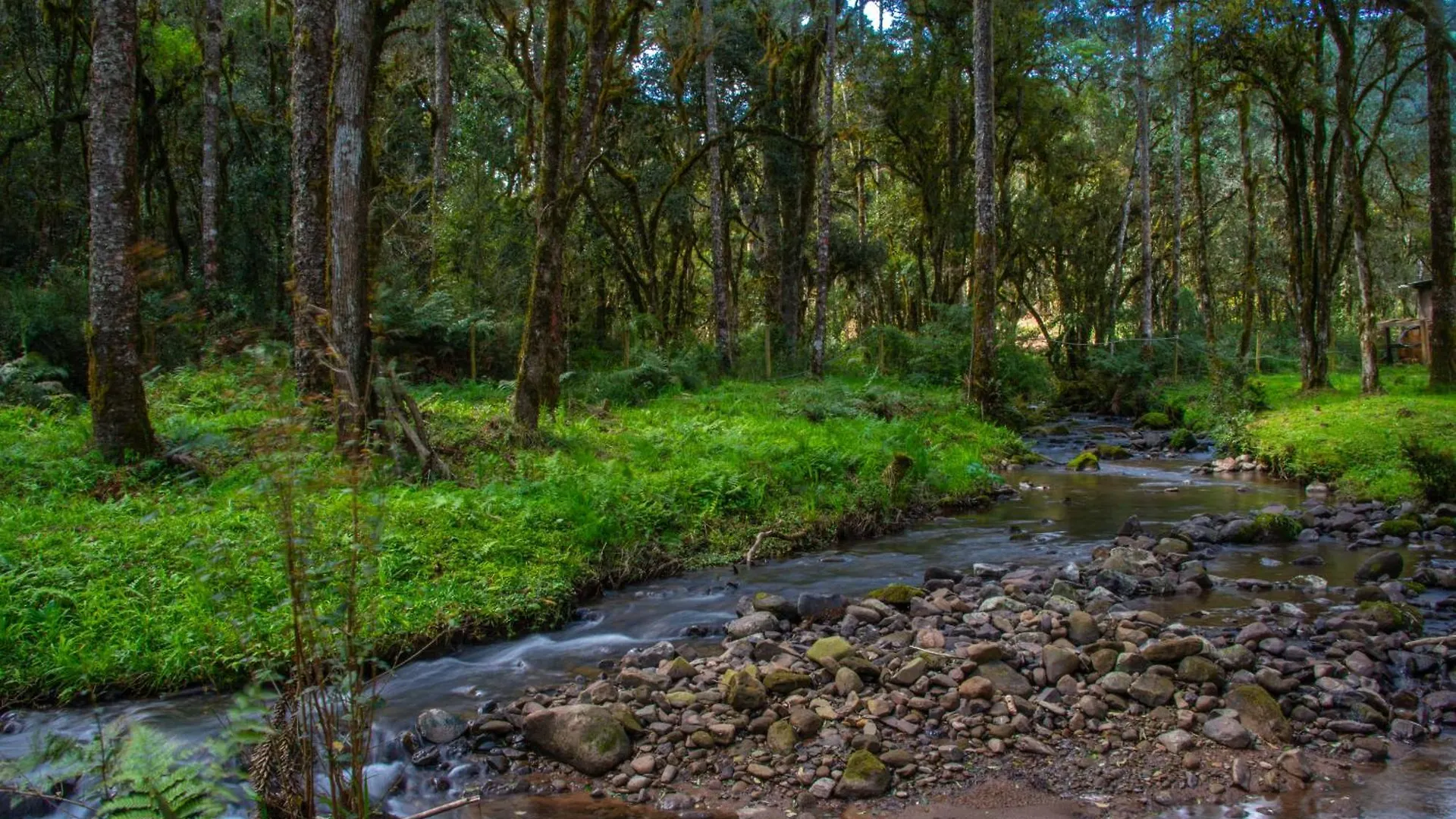 Refugio Tres Catarinas Vila Urubici Brasil